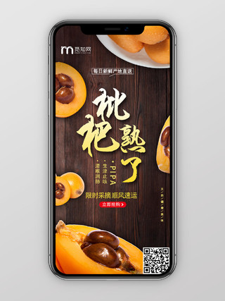黄色简约枇杷熟了水果枇杷ui手机海报